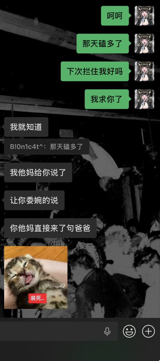 bionicat_06's tweet photo. 仿生猫是个人物 https://t.co/ozTh1sLNQr