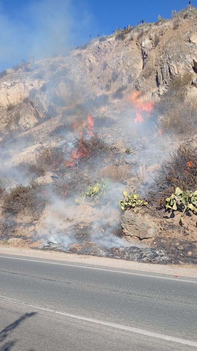 EPetorca's tweet photo. #Cabildo

Emergencia: Incendio forestal y/o basura. 
Fecha: 17/05/2026
Hora: 14:40 aprox. 
Sector: Nueva Esperanza. 
Recursos: Bomberos y Carabineros. 
Preliminar: Fuego en vegetación a un costado del camino. 

EQUIPO EMURG PROVINCIA DE PETORCA. https://t.co/fAEbUA80SX