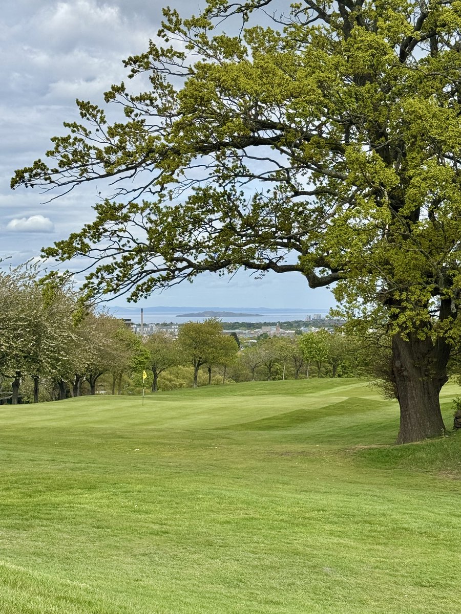 MurrayfieldGC's tweet photo. Spring golf at Murrayfield 🌿⛳️

The course is looking incredible right now with some stunning views across Edinburgh.

Final photo challenge… can you spot the wildlife visitor? 👀🦌 https://t.co/XTUcdB9vTr