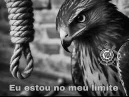 Cavalinho do SCCP tweet media