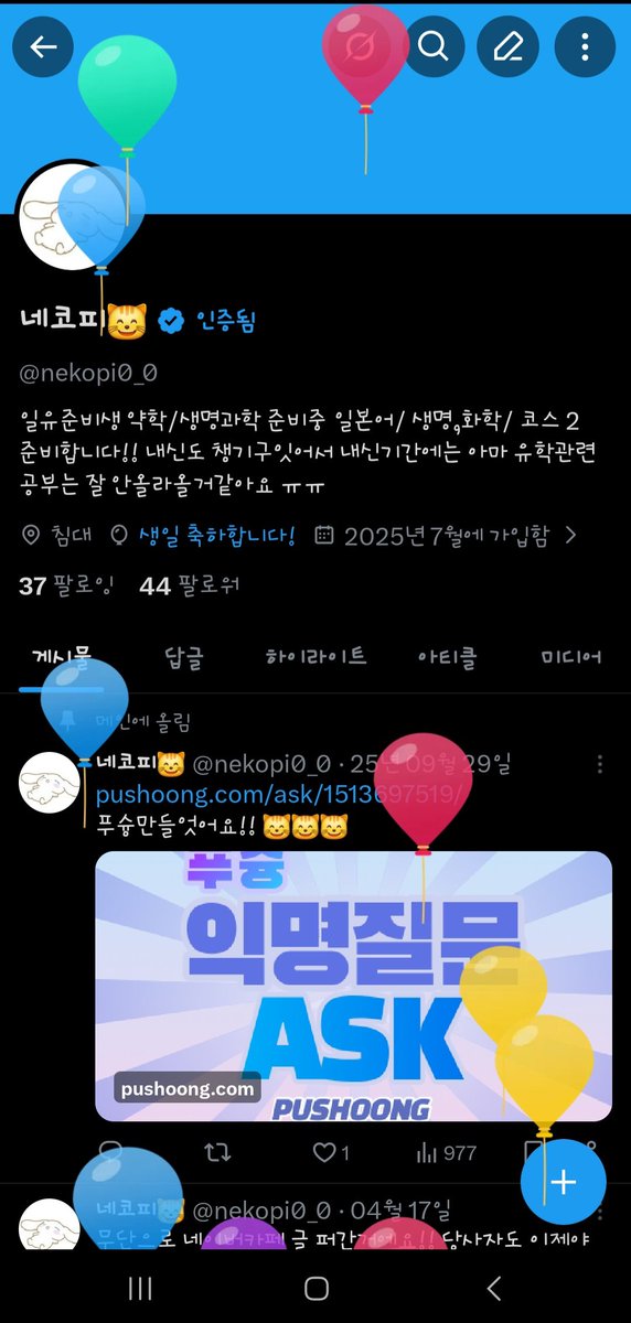 네코피😸 tweet media