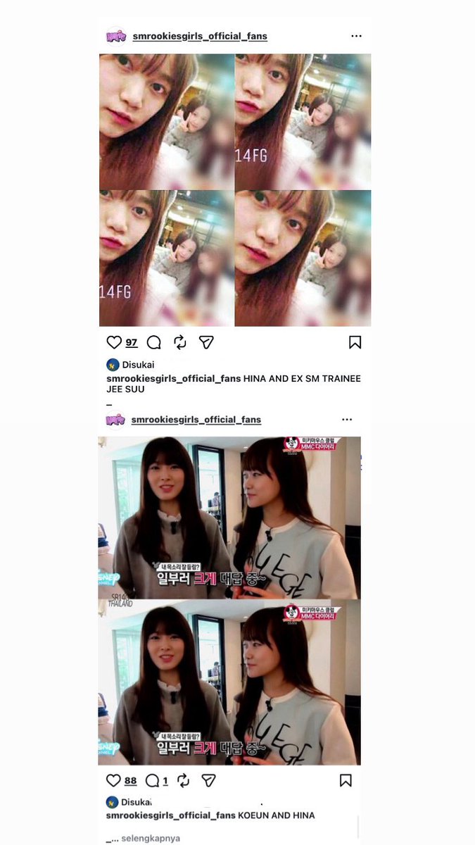 🐱🐰 tweet media