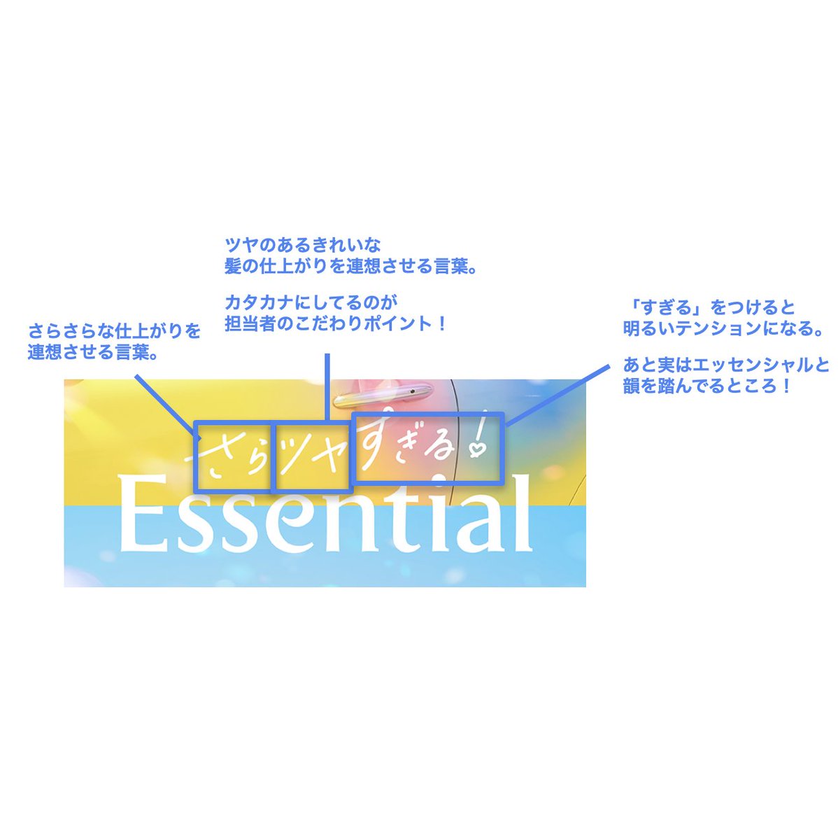 Essential(エッセンシャル) tweet media