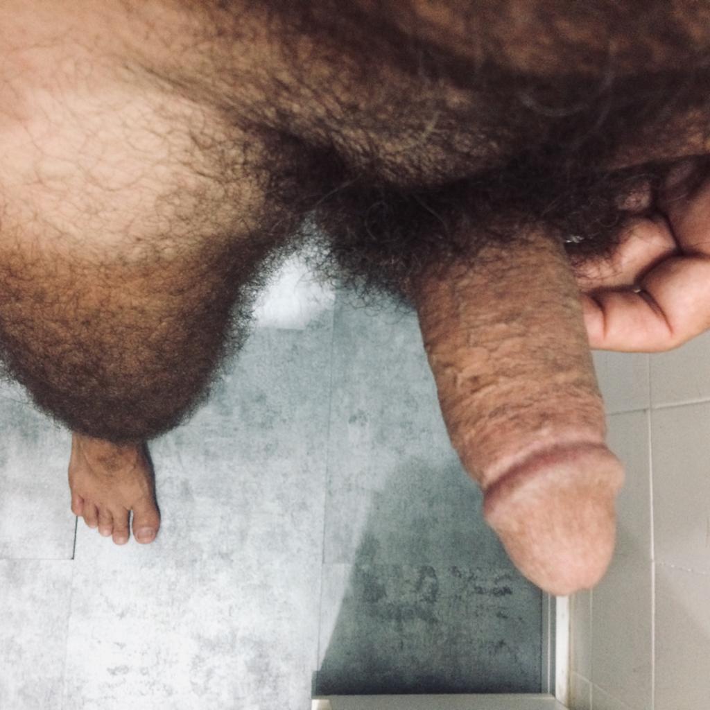 ANDRÉ DOGÃO 🐶 🔜 SALVADOR EM SETEMBRO tweet media