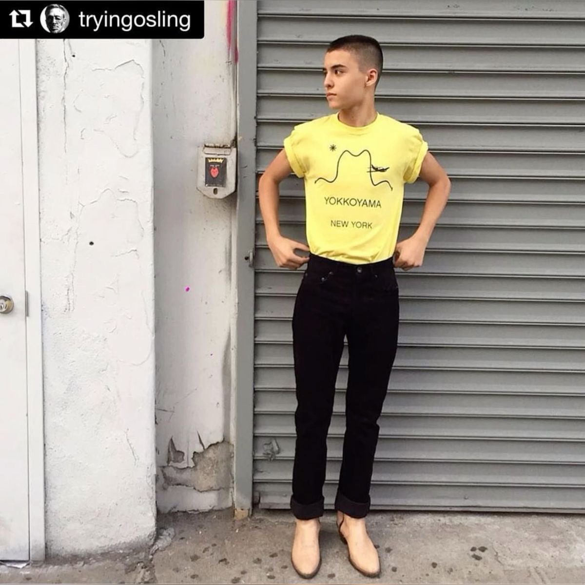 syd tweet media