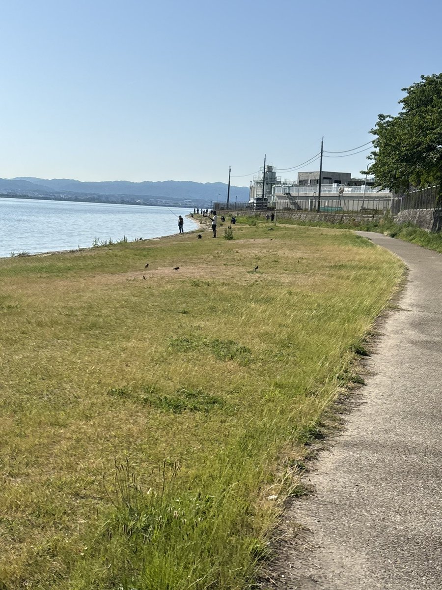 シャインマスカット tweet media