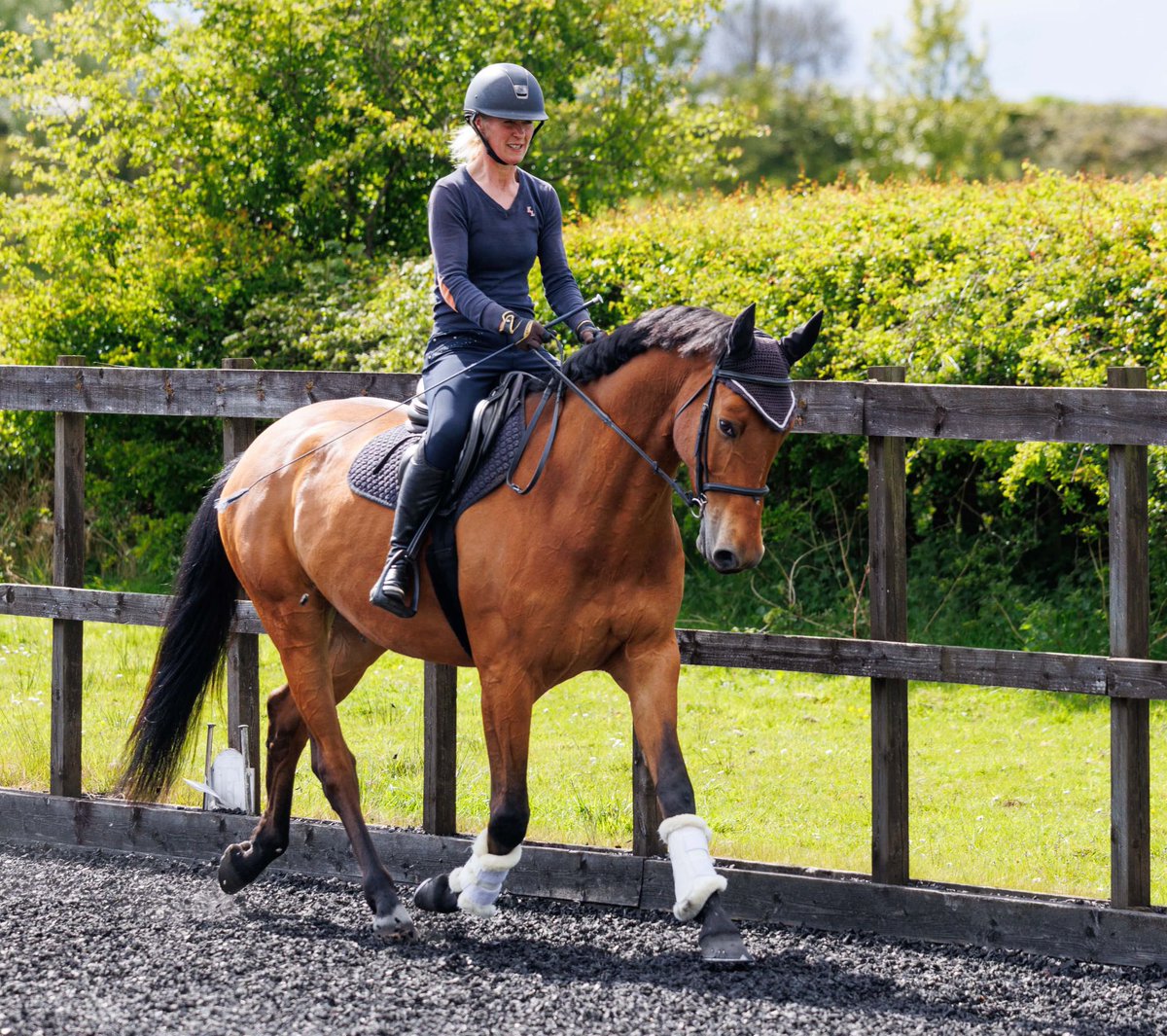torbeag's tweet photo. A few pictures from our recent training session with Alan Davies. https://t.co/FQePXzbUN4