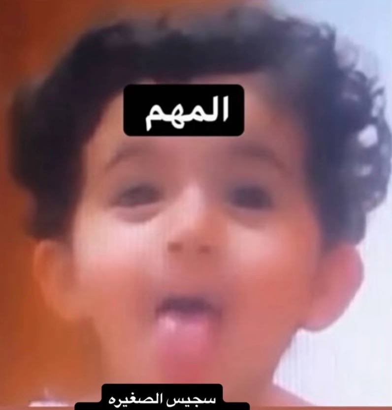 Toto tweet media