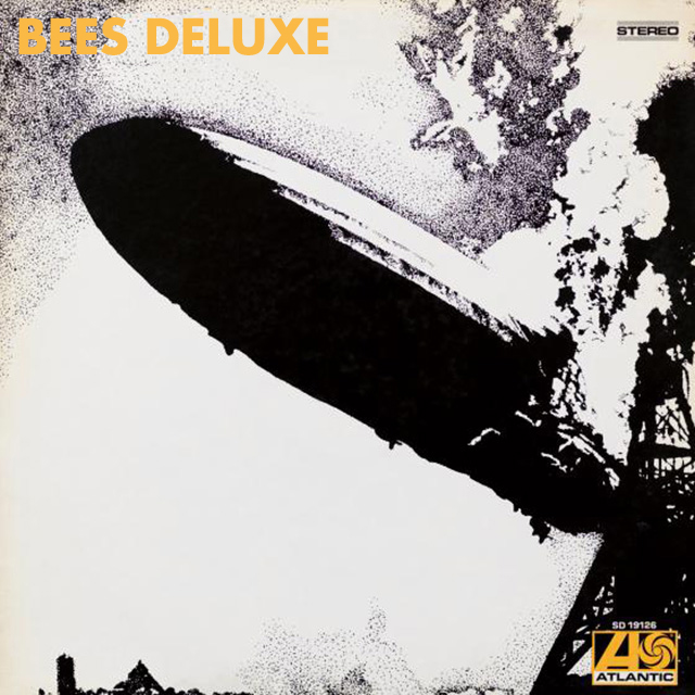 Bees Deluxe tweet media