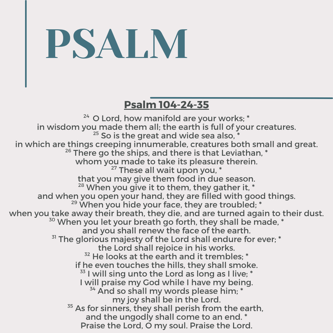 GoodShepherdBR's tweet photo. https://t.co/SZmiggaiPH