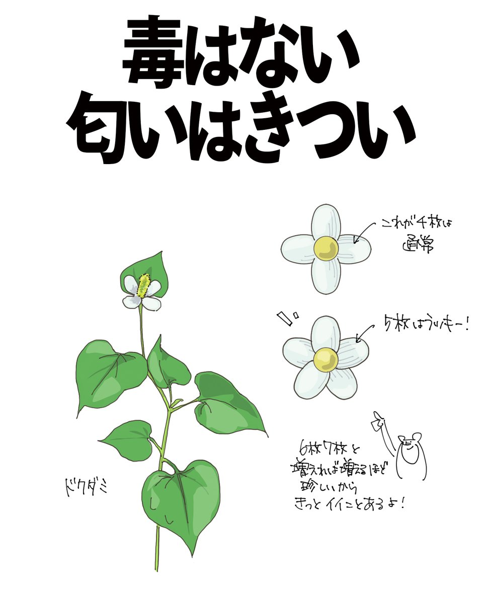 自然ガイドのネタ帳 tweet media