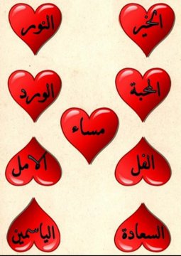 صقر حايل الشمري tweet media