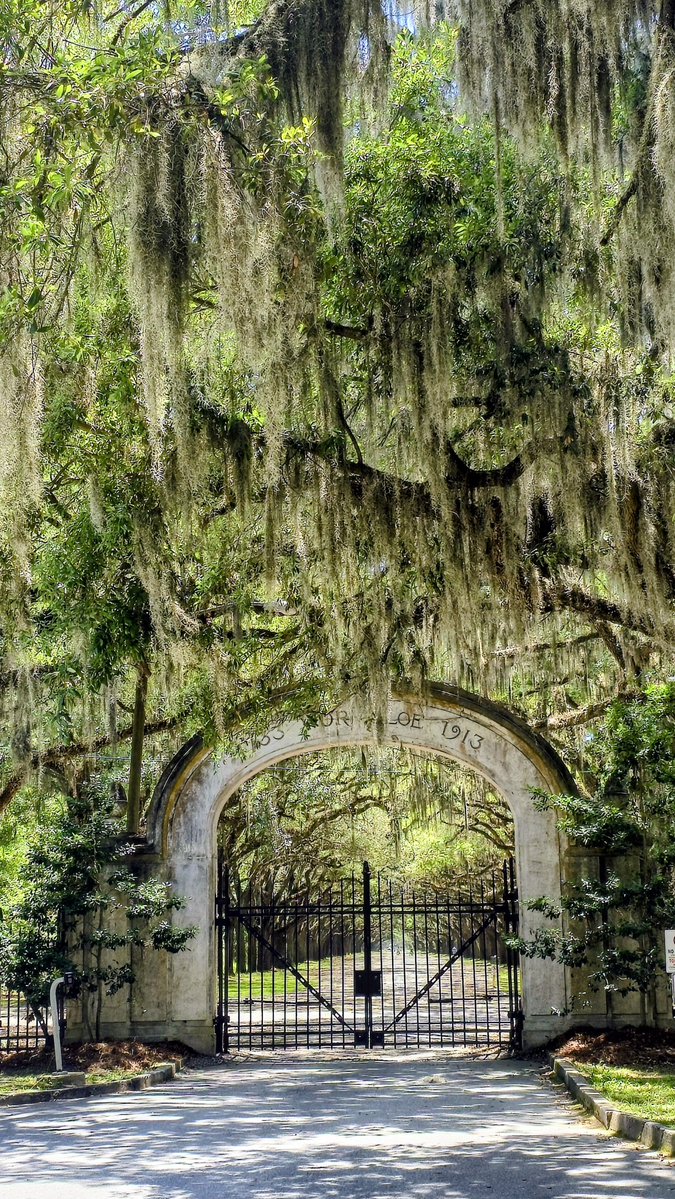 Wayne Moran Photography tweet media