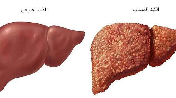 د. عبدالله tweet media