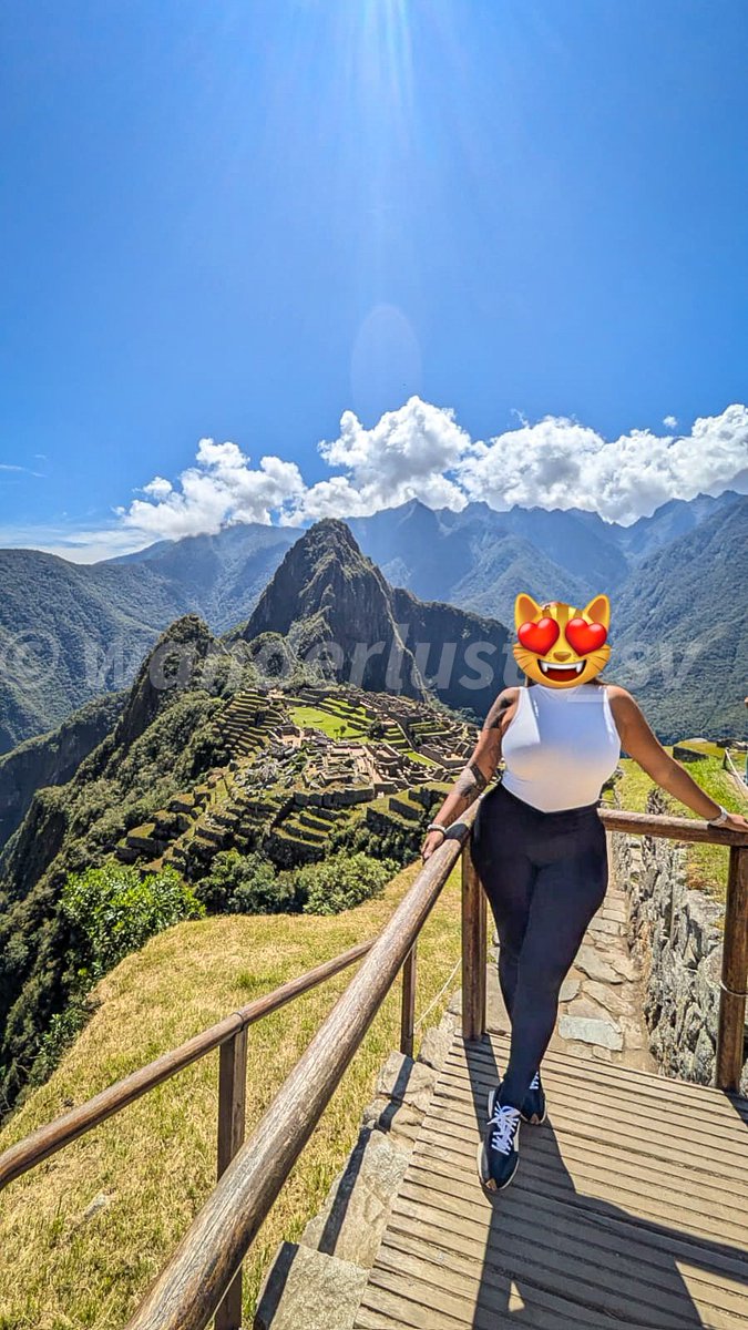 🍍wanderlusts 🇸🇻/🇺🇸 tweet media