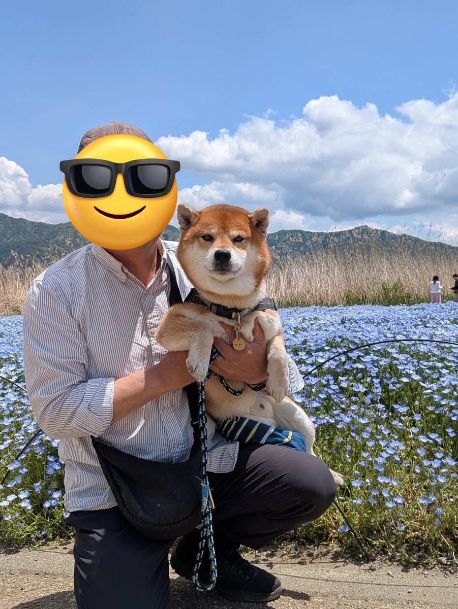 胡麻柴マサル tweet media