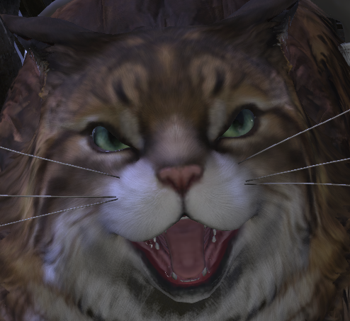 simon_ff14's tweet photo. https://t.co/4eh0JWmvZt