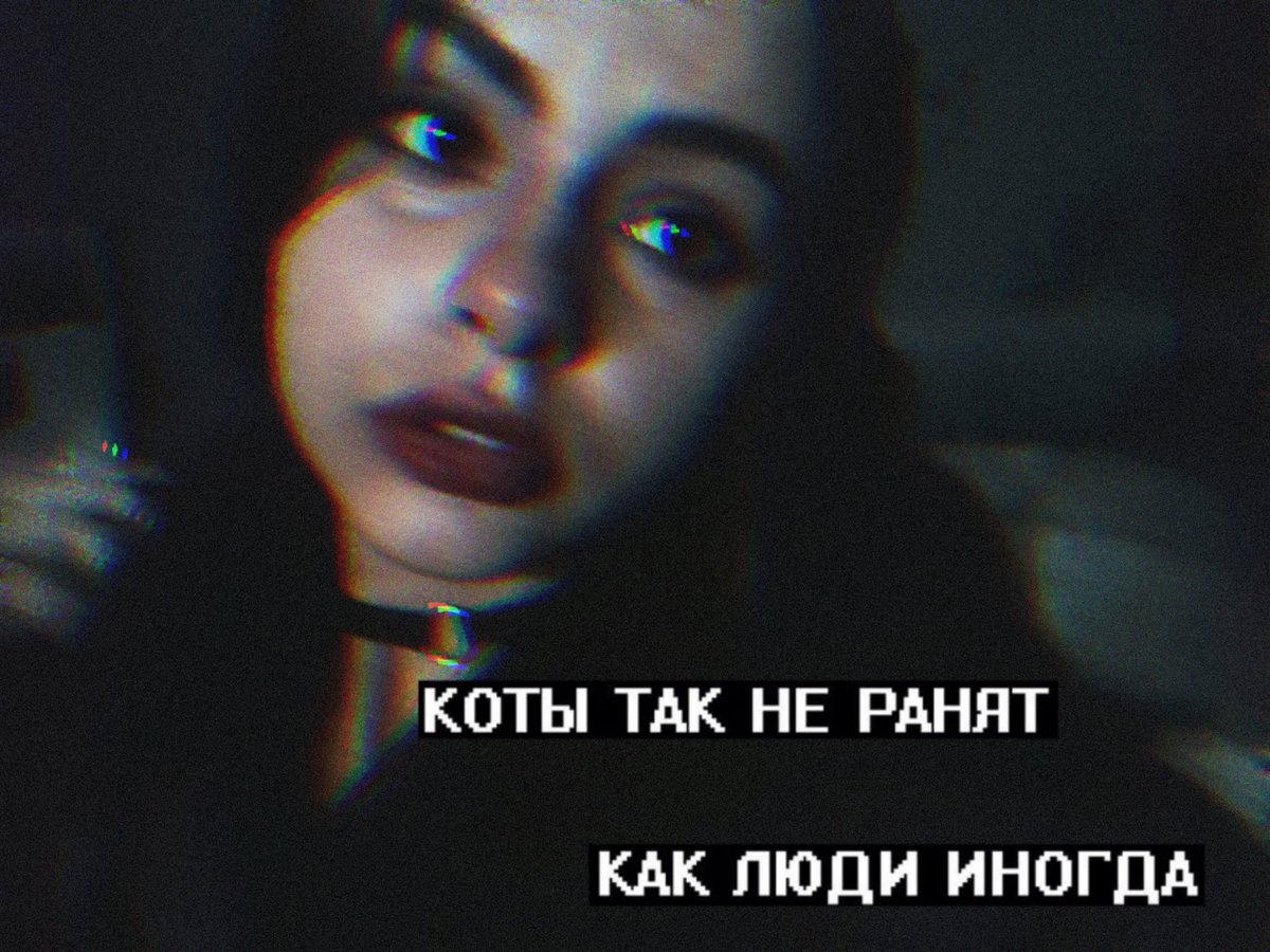 шрам на звезде tweet media