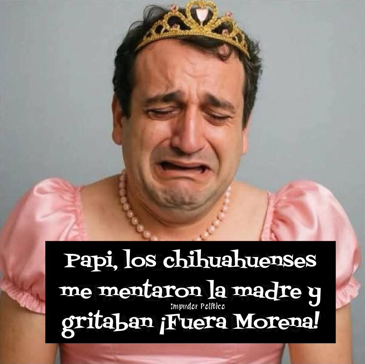 Impudor Político tweet media