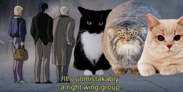𝖕𝖚𝖓𝖎𝖘𝖍𝖊𝖉 𝖘𝖑𝖎𝖒𝖊 🩸 tweet media