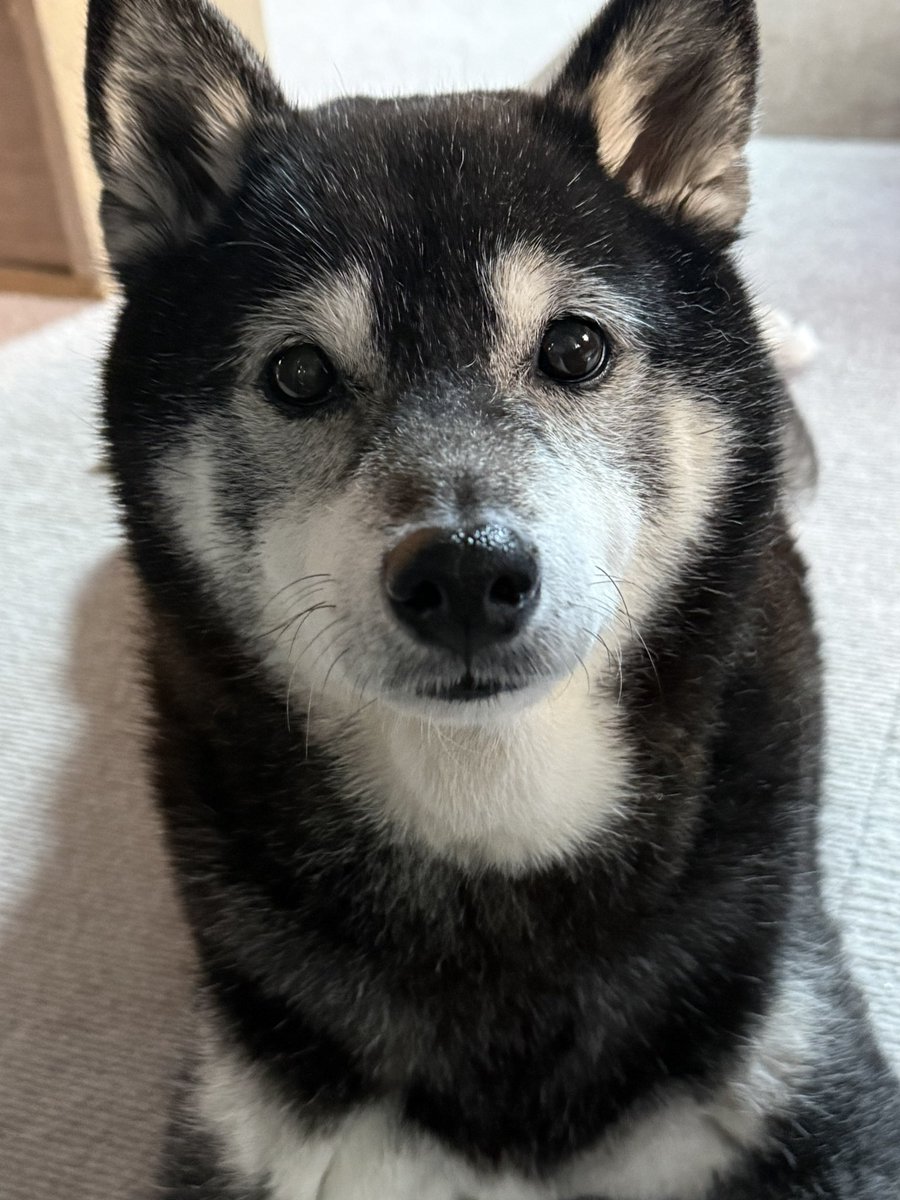 Rusty1128Ma's tweet photo. おはようございます😃　いつもありがとう！今週も宜しくお願い致します☺️
https://t.co/XCScN9TLRZ @YouTube https://t.co/We4nWhTg3J