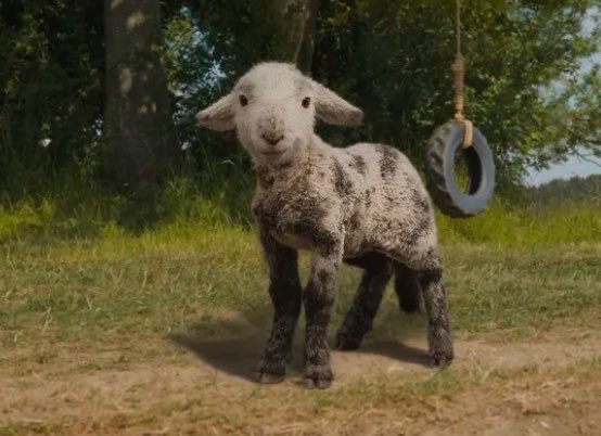 JaimeSFW's tweet photo. WE ARE WINTER LAMBS! https://t.co/Orjwfx1hAW