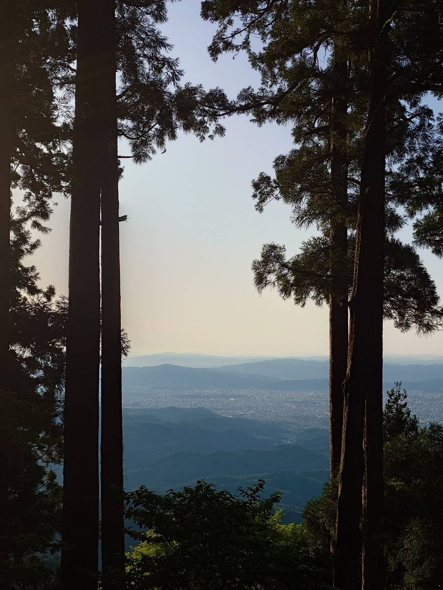 総本宮 京都 愛宕神社 tweet media