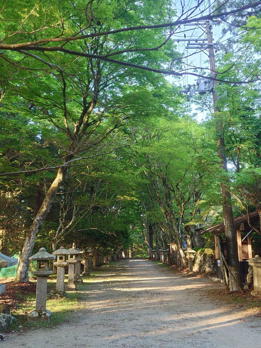 総本宮 京都 愛宕神社 tweet media