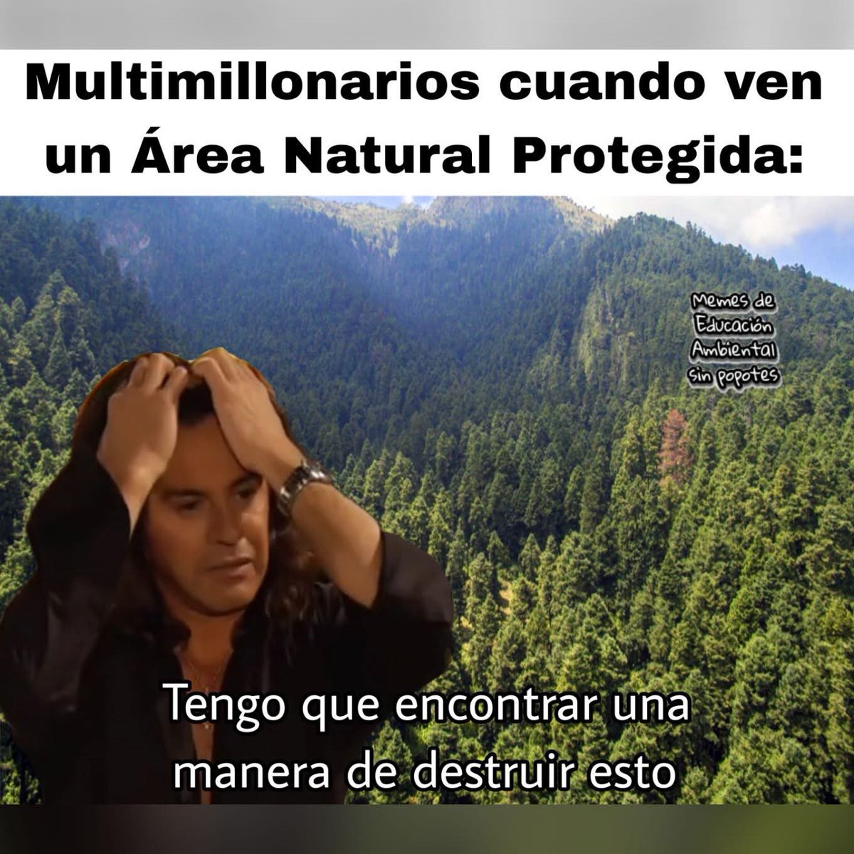MarichuThings's tweet photo. @MaraLezama https://t.co/OkNFFsbzrN