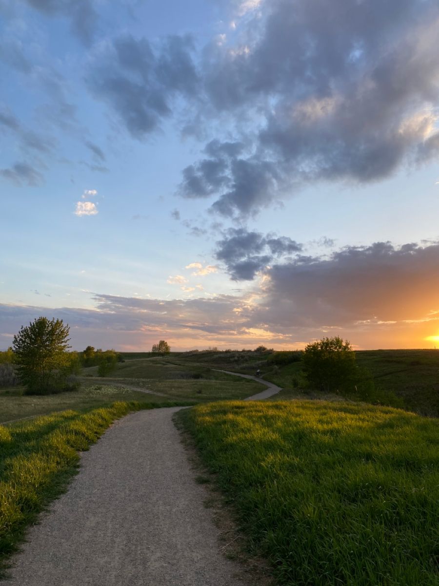 greenvibe's tweet photo. Quiet walk at golden hour https://t.co/dUb8kbDAfT