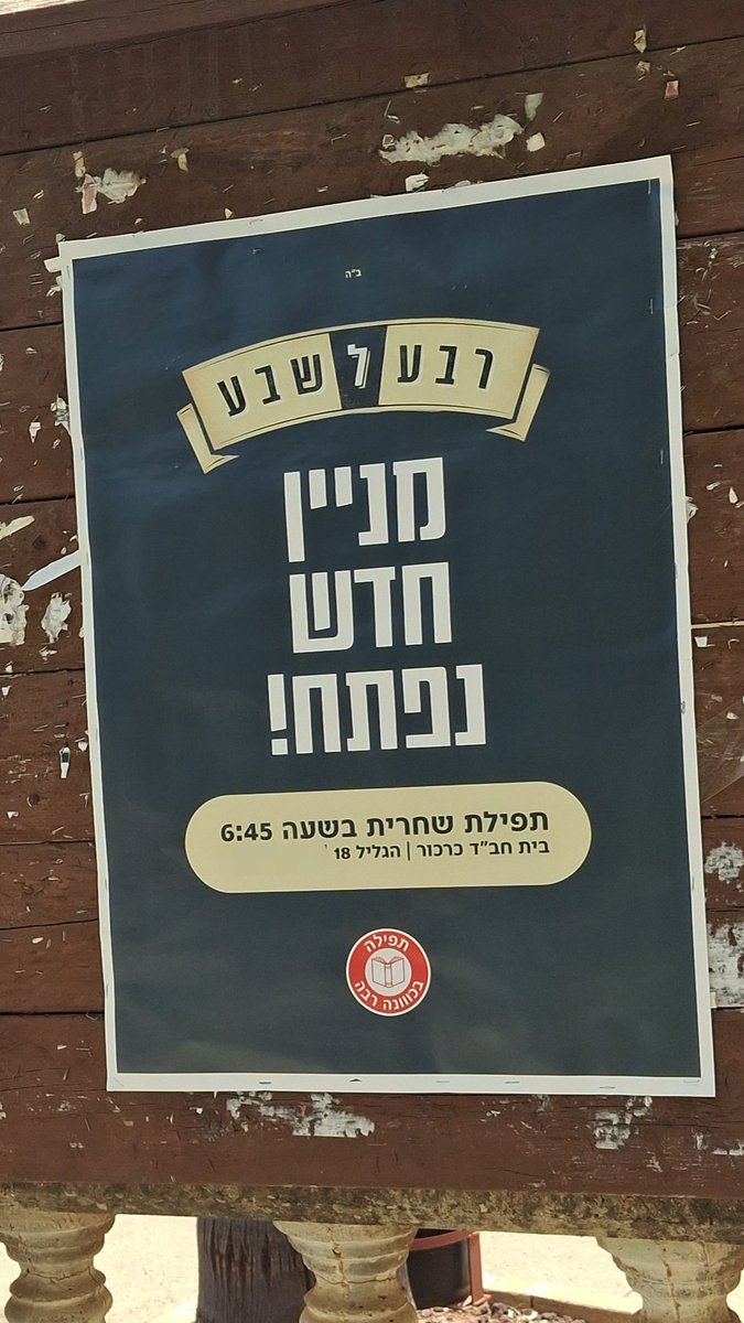 תמר שושנה קורמן tweet media