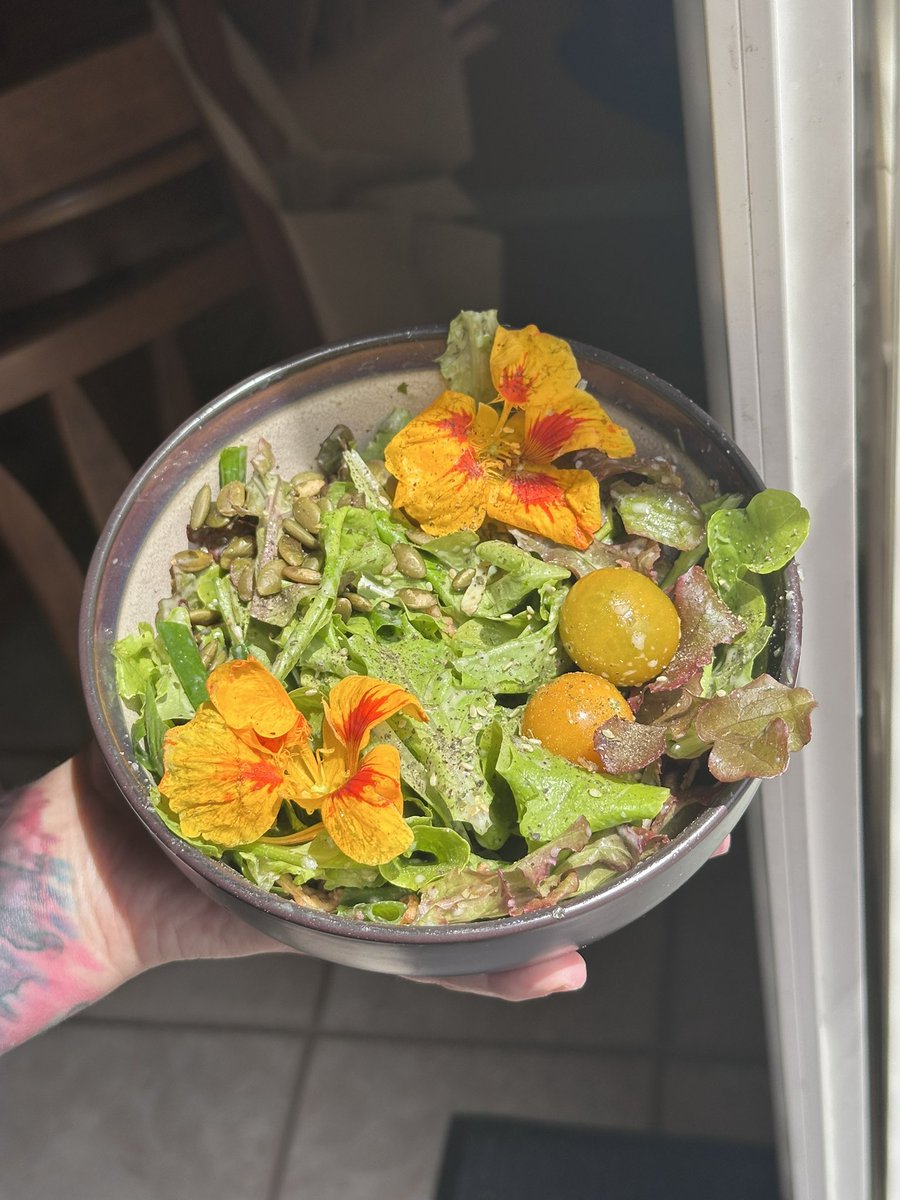 circusdisorder's tweet photo. Salad 100% from the garden :) and the flowers are edible too. They taste like radishes https://t.co/WWyTqErX3c