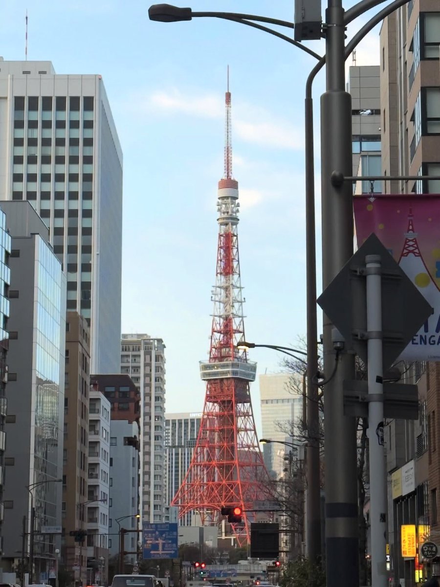 ボロロ tweet media