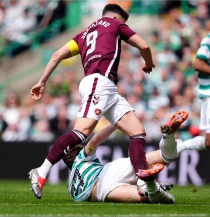 Celtic Curio tweet media