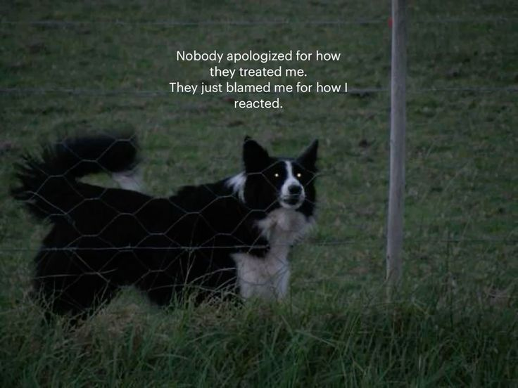 DoggyPosting's tweet photo. https://t.co/6bpNUm40uf