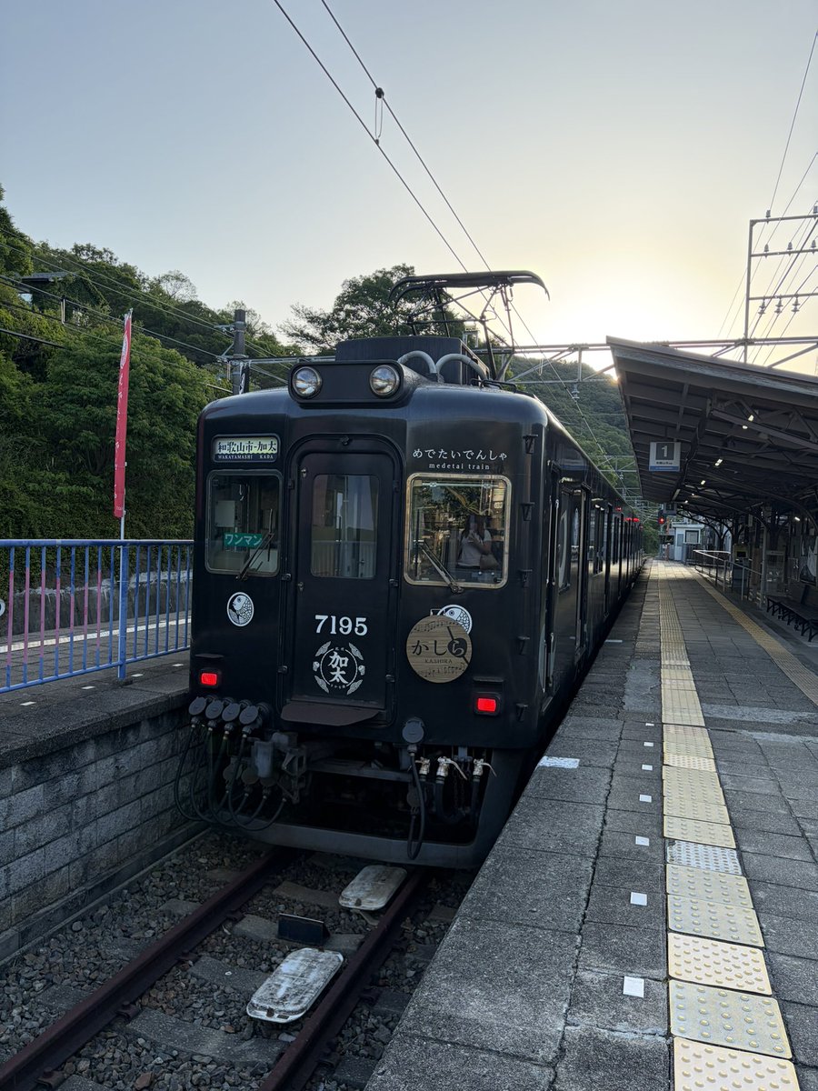 ∠まるこ tweet media