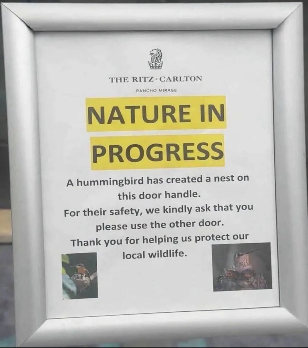All Creatures Rescue tweet media
