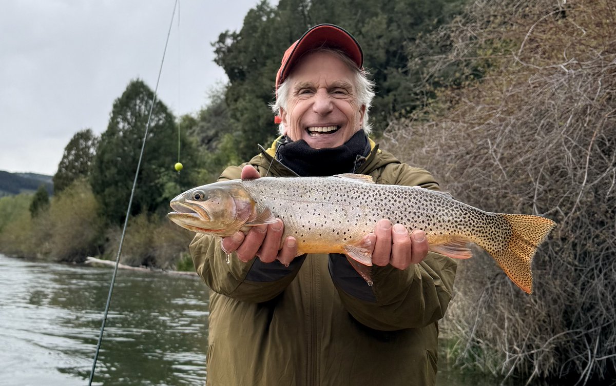Henry Winkler tweet media