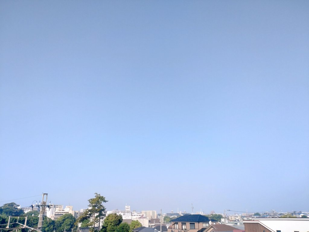 ショーイチ tweet media