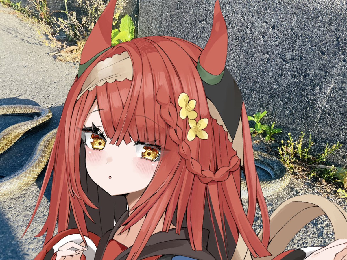香々美彩姫-かがみさき-【公式】🌶️🍁 tweet media