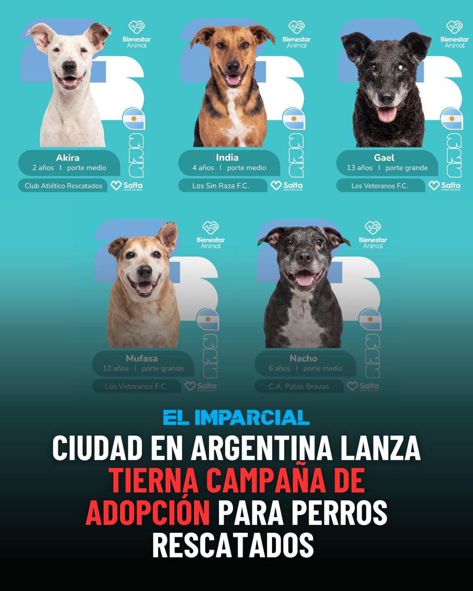 EL IMPARCIAL tweet media