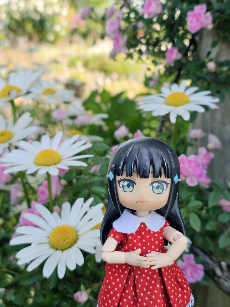 まみたん tweet media