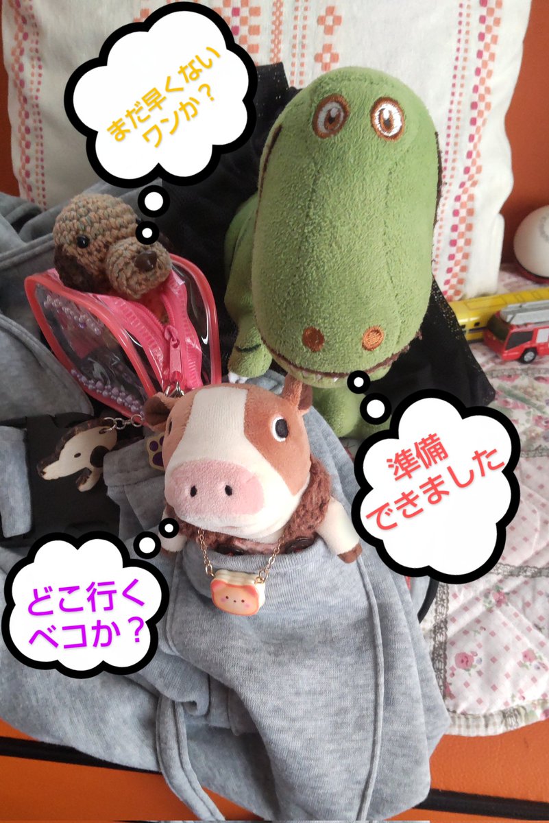 🍊ぷぷ(主)&🌈支ぶちょー🐶の部屋 tweet media