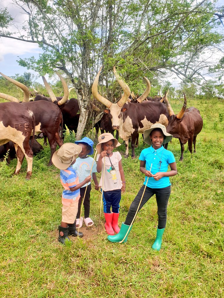 akajosh1's tweet photo. 3rd generation at📍@FFarmEstates1 its not just holidays, this is heritage in motion. At Frank Farm Estates, we don’t just raise cattle, we raise custodians of the legacy of Late Frank Rutetebya ✍️🏼 https://t.co/GeLtvUg2jD