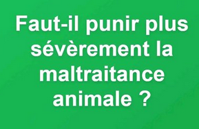 Amanda 🇫🇷 tweet media
