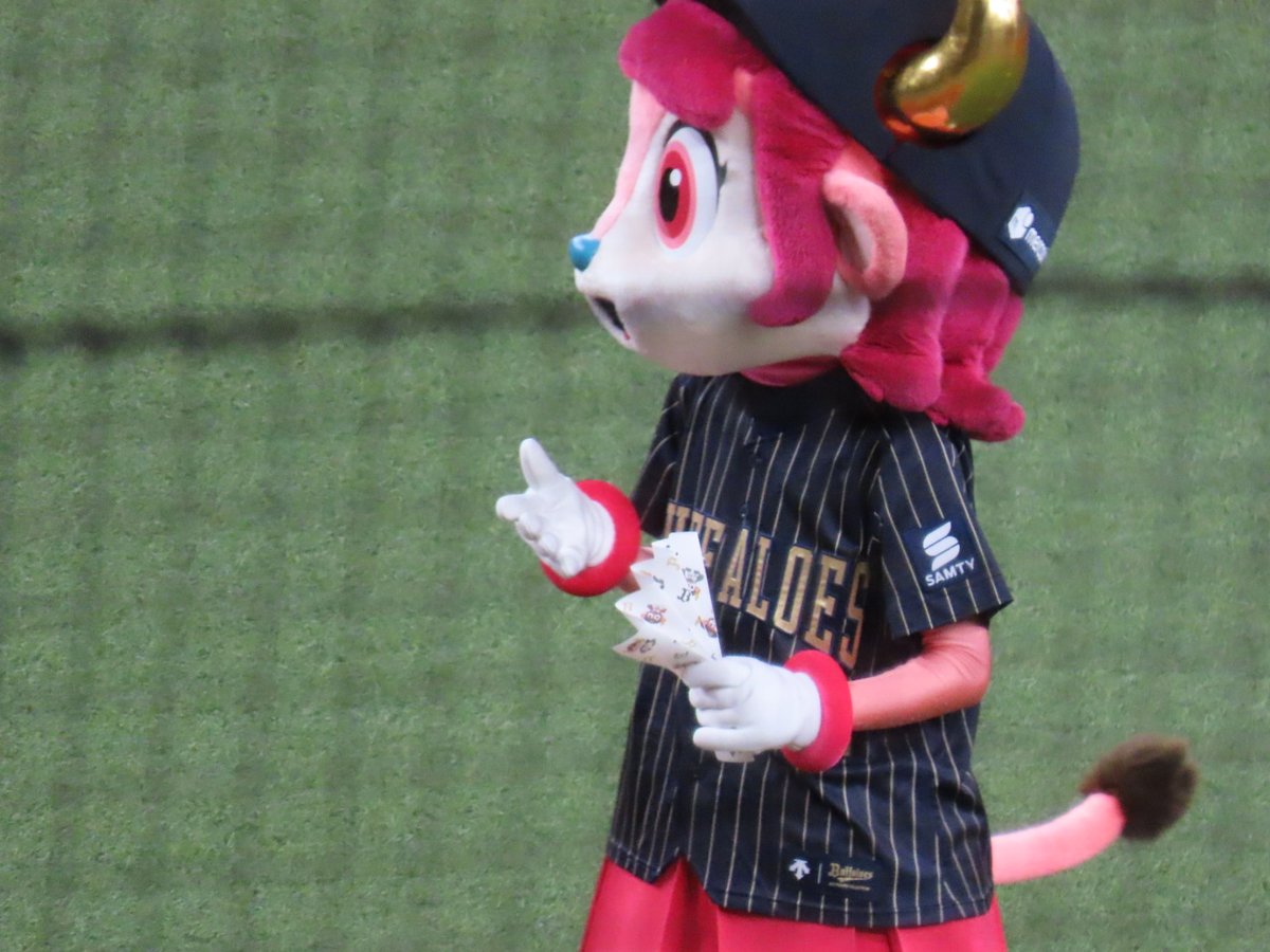 カメコ tweet media