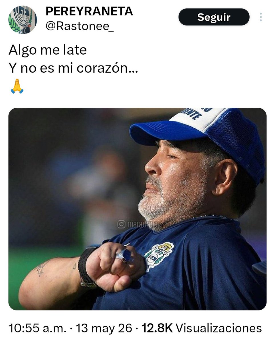 ex 15. ⭐ ahora 16y vos? 🦁.. tweet media