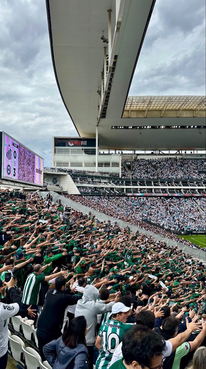 Império Alviverde tweet media