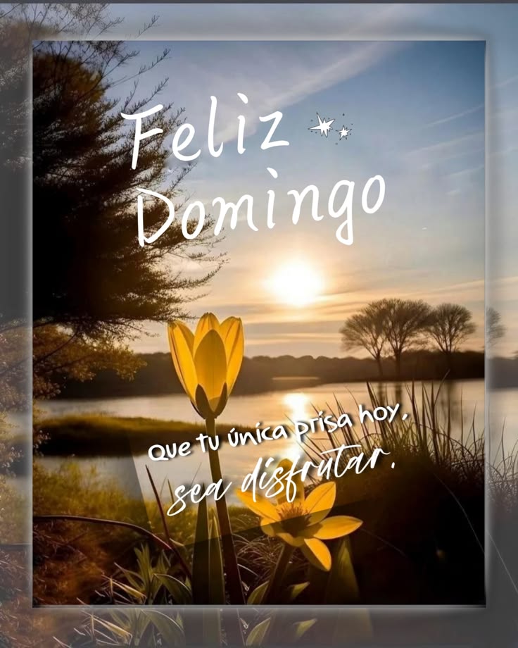 Kadaffyn's tweet photo. @Cruzamaranta @4T_Mexico_ @EYACAR65 @Martinsantome57 @MariaEl95097388 @GonzlezRa12 @guilbert_ga @rociomag3 @IlanBalam @QuinquePolitico @DULCEPOLY11 @JudithMart49636 @AliciaDeToma2 @analuna74 @salgado_VIII @BeanaNova @Pavyamigos @hula_gonna @MarcosDelado @Barmilcar La vida es así, y duele cuando te quita a la persona que tanto amaste, solo quedan los bonitos recuerdos que vivieron y disfrutaron juntos 🙏🏻, gracias Vicky ⚘️ https://t.co/4MZf1a31aW