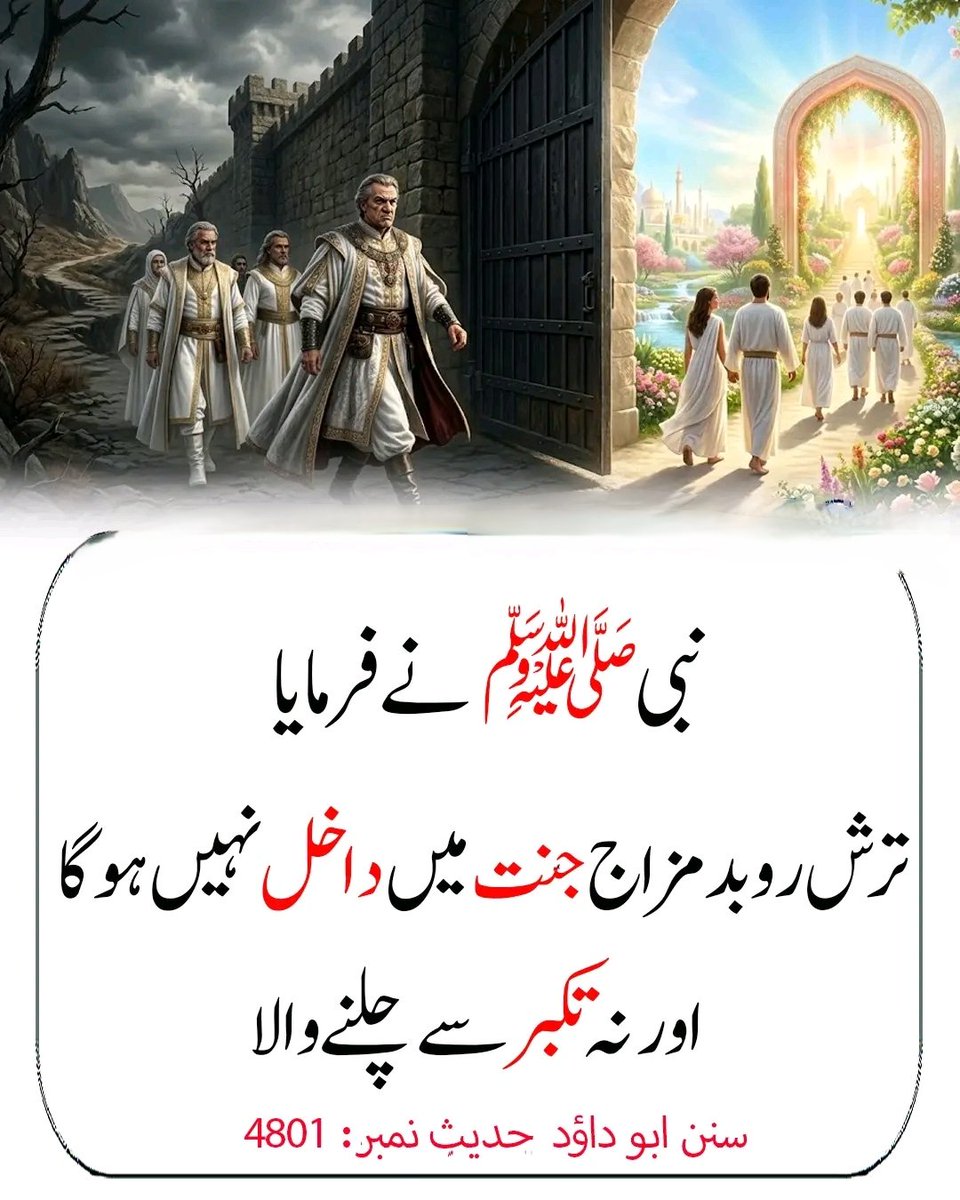 Sadia Rajpoot ⚡ tweet media